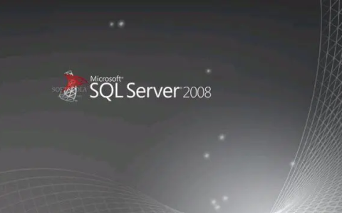 windows server 2008环境下安装sql server 2008时报错：“并非所有被引用的特权或组都分配给呼叫方”的解决方法